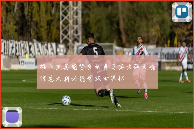 维卡里奥盛赞多纳鲁马实力强大确信意大利必能晋级世界杯